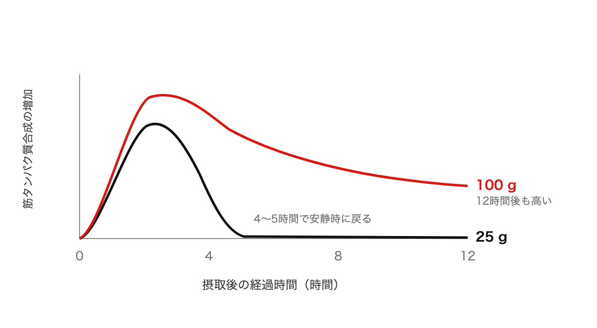 25gと100gを摂った後の筋タンパク質合成の変化を時間軸で比べた折れ線グラフ