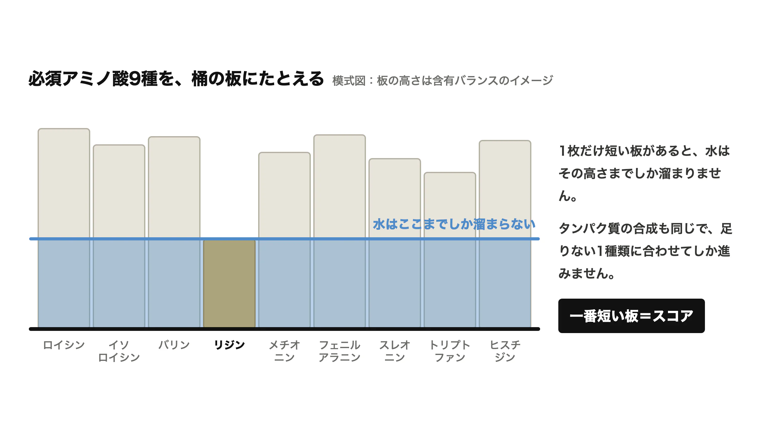 必須アミノ酸を桶の板にたとえた模式図