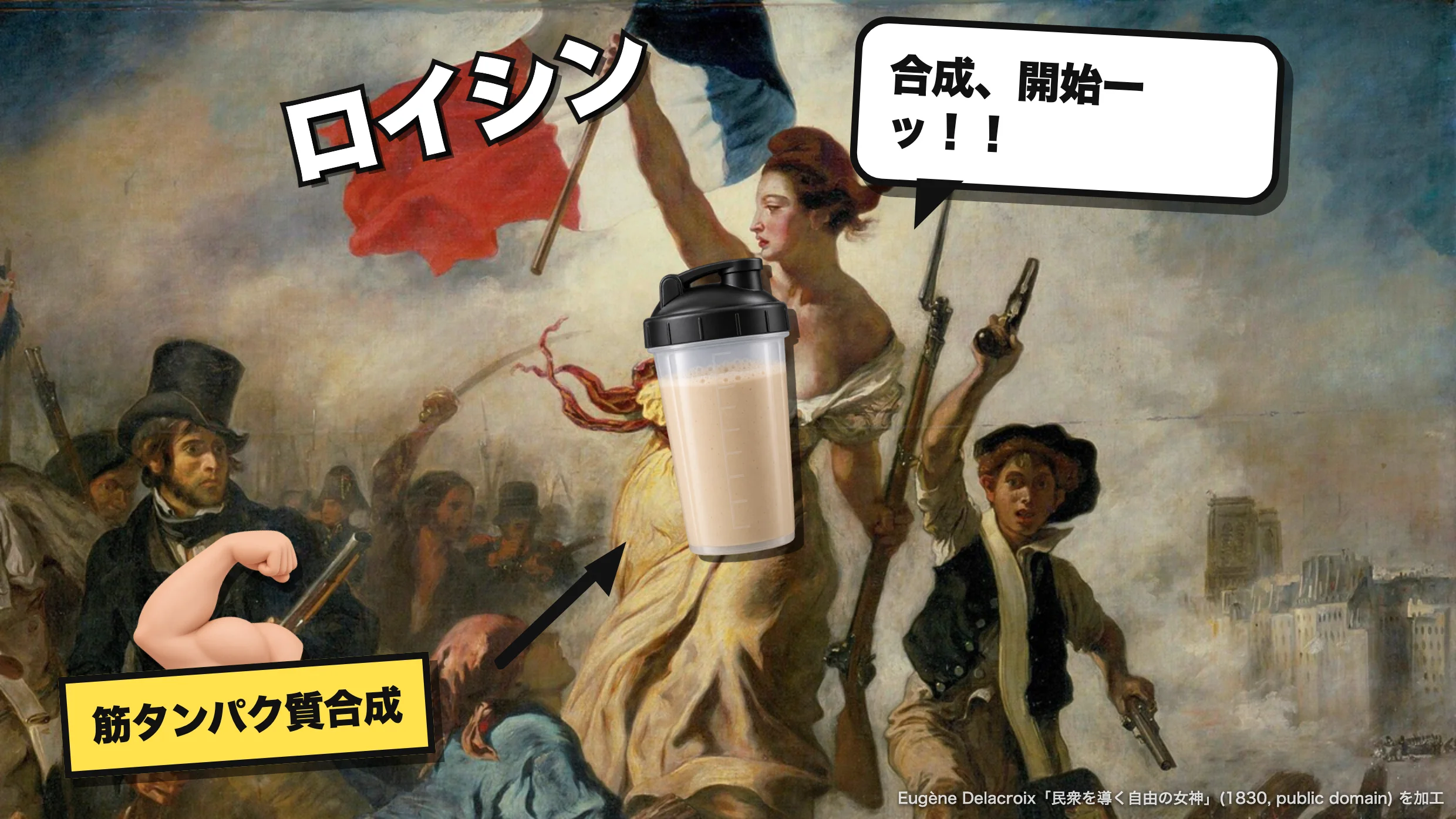 旗を振るロイシンが筋タンパク質合成に号令をかけるコラージュ
